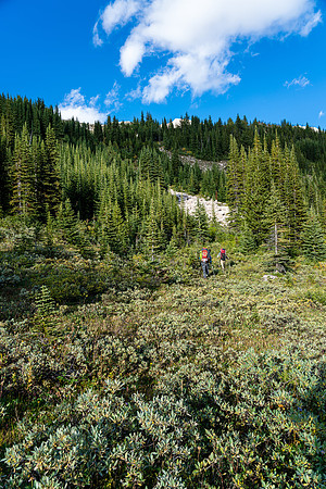 Ascending forested slopes to the second pass / col of the day.