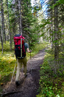 Mike marches up the Mosquito Creek trail.