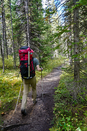 Mike marches up the Mosquito Creek trail.
