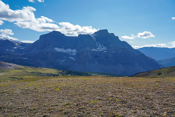 Views back down the meadows towards Noseeum Peak.