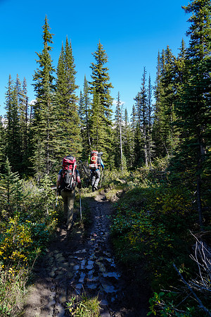 Mike and Cornelius hike the Mosquito Creek trail.