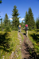 Mike and Cornelius hike the Mosquito Creek trail.