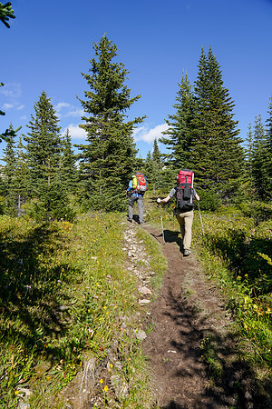 Mike and Cornelius hike the Mosquito Creek trail.