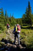 Mike and Cornelius hike the Mosquito Creek trail.