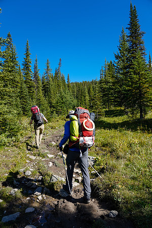 Mike and Cornelius hike the Mosquito Creek trail.