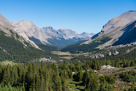 Looking at our exit valley to the Clearwater River and Mount Harris.