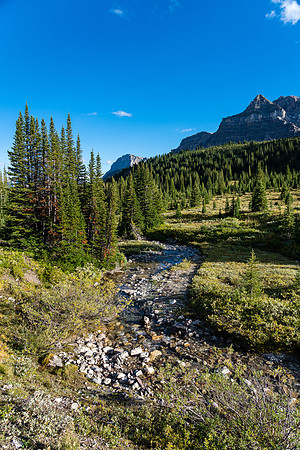 A very small Pipestone River at this point.