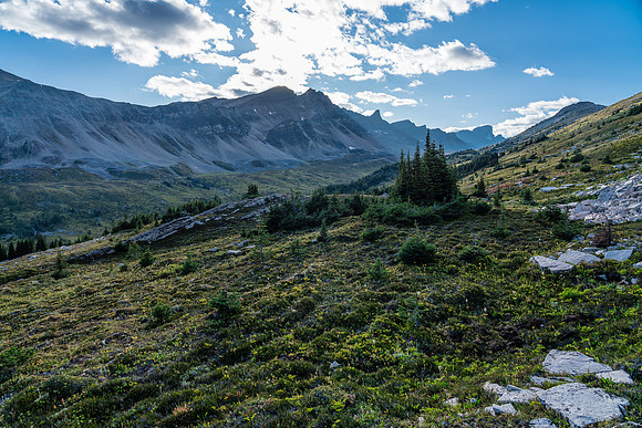 Looking back over Pipestone Pass from our ascent.