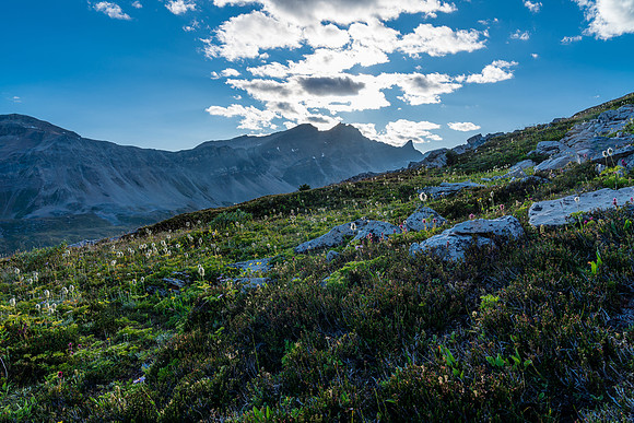 Views across the Pipestone River Valley to the east face of Mosquito Mountain.