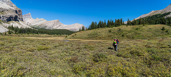 Continuing to make our way north along the valley bottom.
