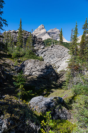 Huge boulders have fallen into this valley from the NW outlier of Deluc,