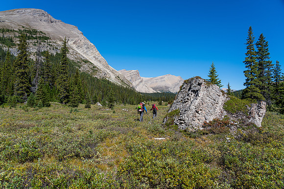 Huge boulders have fallen into this valley from the NW outlier of Deluc,