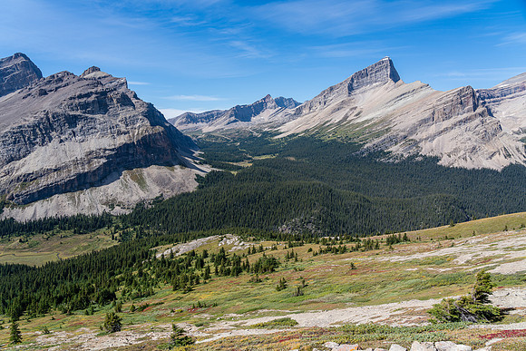Views across the Clearwater River to the north towards South Tower.