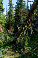 Descending into the valley north of our Deluc bivy site.