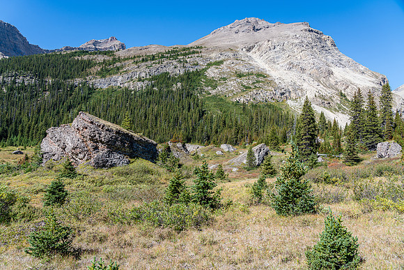 Huge boulders have fallen into this valley from the NW outlier of Deluc,