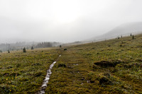Above tree line in the Molar Meadows.