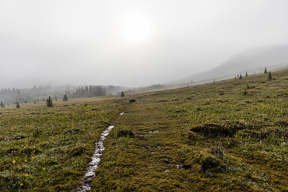 Above tree line in the Molar Meadows.
