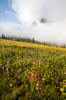 Wildflowers in the Molar Meadows with Noseeum rising in the clouds above.