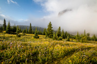 Wildflowers in the Molar Meadows with Noseeum rising in the clouds above.