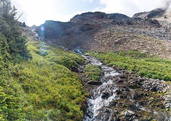 I ascended this little stream from the meadows.