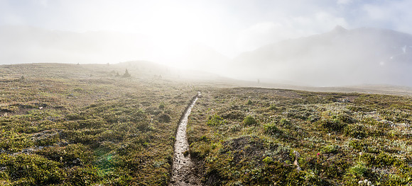 North Molar Pass rises above the alpine meadows.