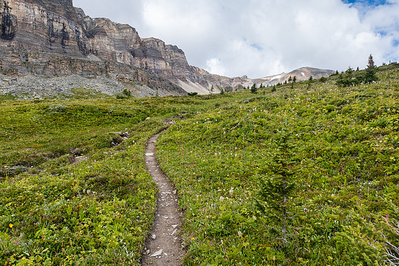 Ascending green alpine meadows to North Molar Pass.