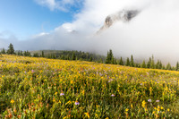 Wildflowers in the Molar Meadows with Noseeum rising in the clouds above.