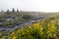 Above tree line in the Molar Meadows.