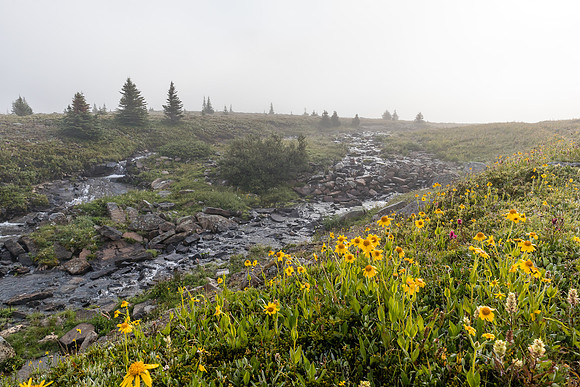 Above tree line in the Molar Meadows.