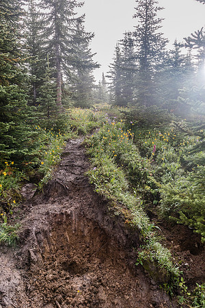 Horse traffic + wet weather = destruction.