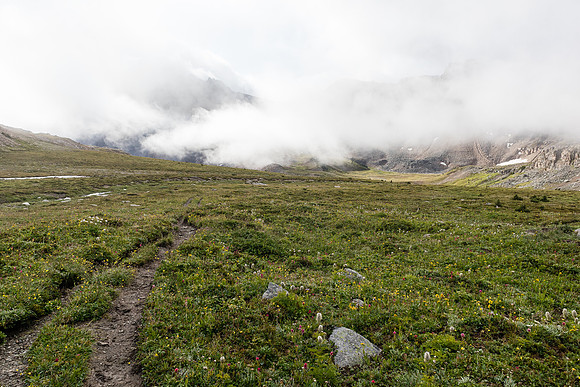 Alpine Meadows on the way towards Fish Lakes from NMP.
