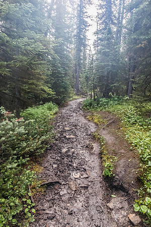 Horse traffic + wet weather = destruction.