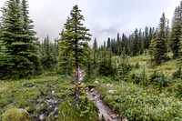 Minnow Peak (North Molar Pass)