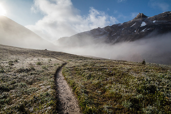 North Molar Pass wreathed in mist rises above the alpine meadows.
