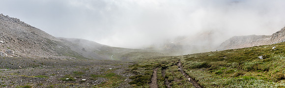 Alpine Meadows on the way towards Fish Lakes from NMP.
