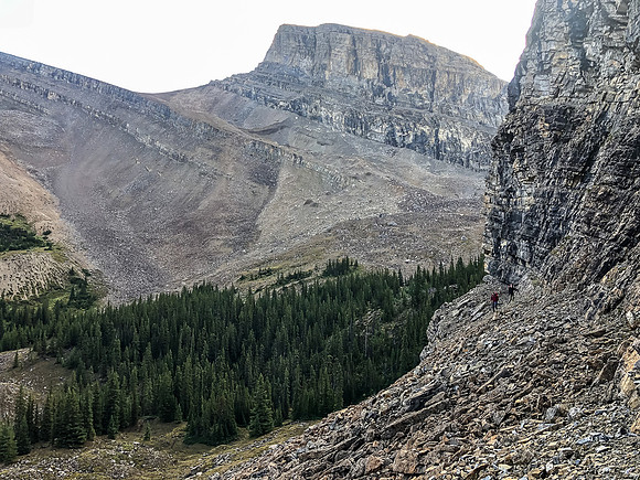 Traversing a goat path along cliffs to the west to avoid wet bushwhacking.