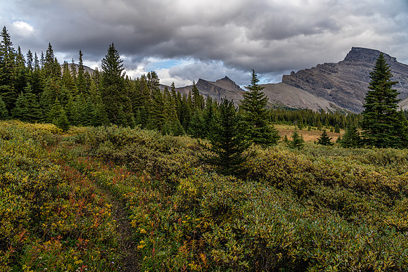 Views back down the Clearwater Trail to Dip Slope Mountain.