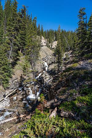 The outlet stream flowing south and east from Mount Harris.