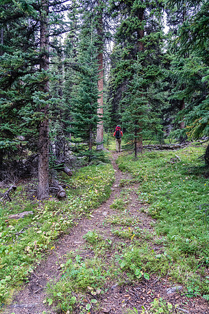 Hiking the Clearwater Trail back to the heavy packs.