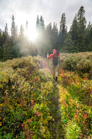 Hiking up the Clearwater Trail to Devon Lakes and Clearwater Pass.