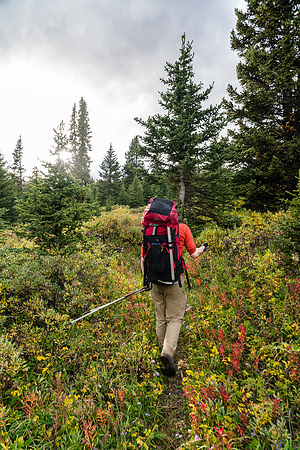 Hiking up the Clearwater Trail to Devon Lakes and Clearwater Pass.