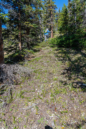 Relatively easy hiking up climber's right (east) of the outlet stream.