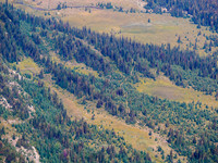 The Pipestone Highline Trail.