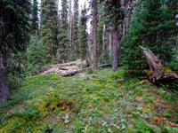 Bushwhacking to the south ridge of Whiskey Papa.