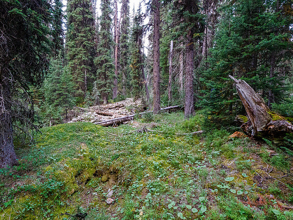 Bushwhacking to the south ridge of Whiskey Papa.