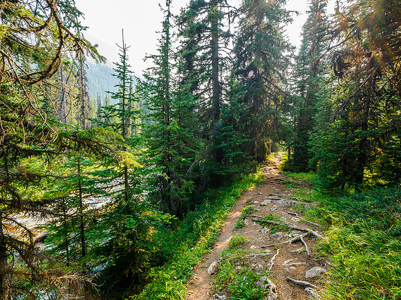 Hiking the Mosquito Creek Trail to hwy 93.