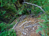 Bushwhacking to the south ridge of Whiskey Papa.