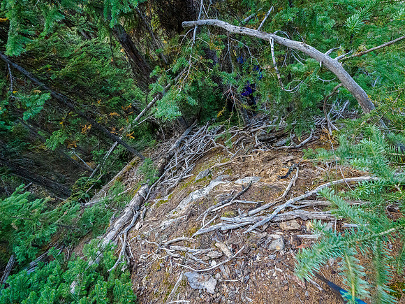 Bushwhacking to the south ridge of Whiskey Papa.
