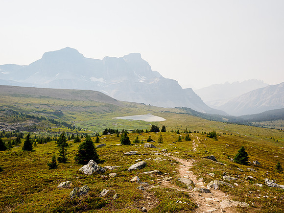 Hiking from North Molar Pass to Mosquito Creek.