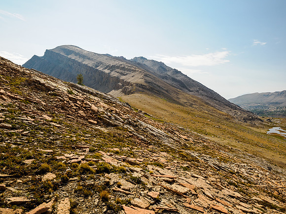 Views back up the NW ridge of Whiskey Papa.